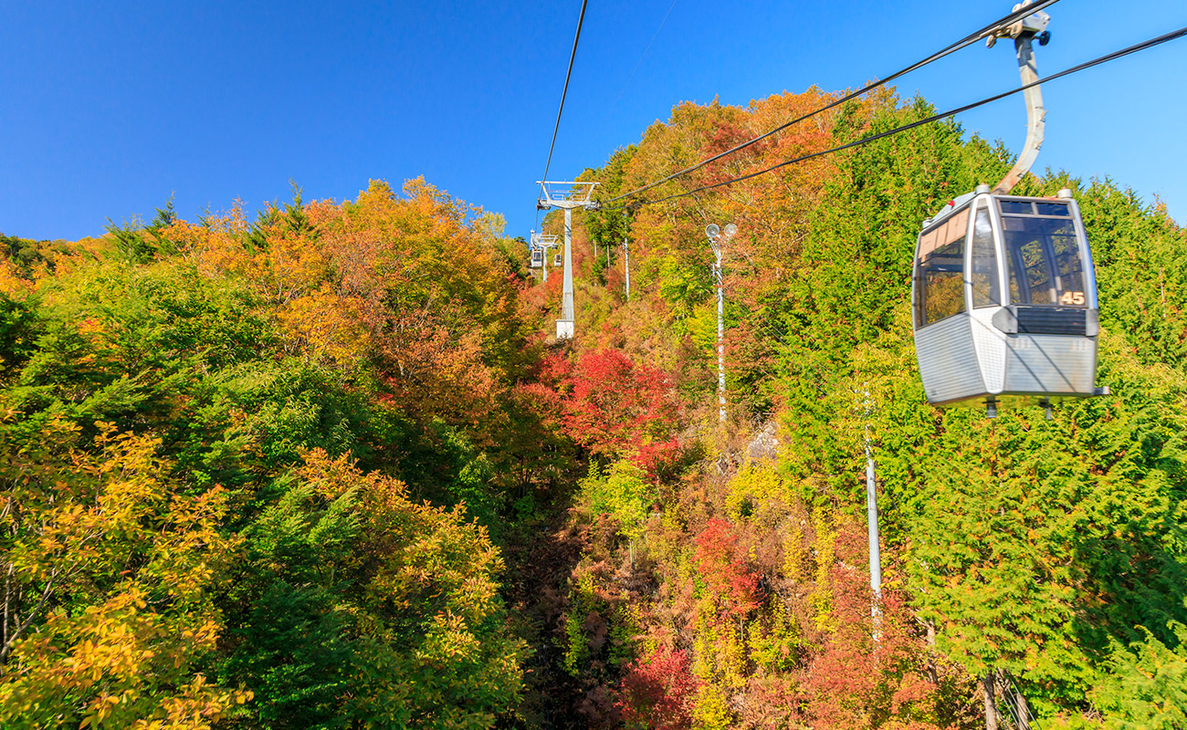 この秋に絶対行きたい おすすめの紅葉スポット特集 ホテル木曽路 癒しの温泉宿 旅館 公式 大江戸温泉物語グループ